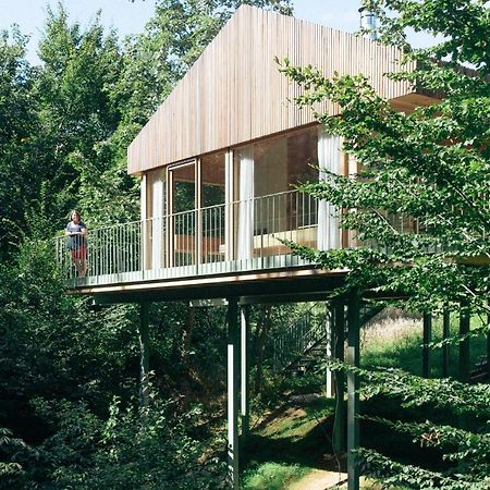 Appartamento Baumhaus Buchengruen Dobl-Zwaring Esterno foto