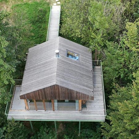 Appartamento Baumhaus Buchengruen Dobl-Zwaring Esterno foto