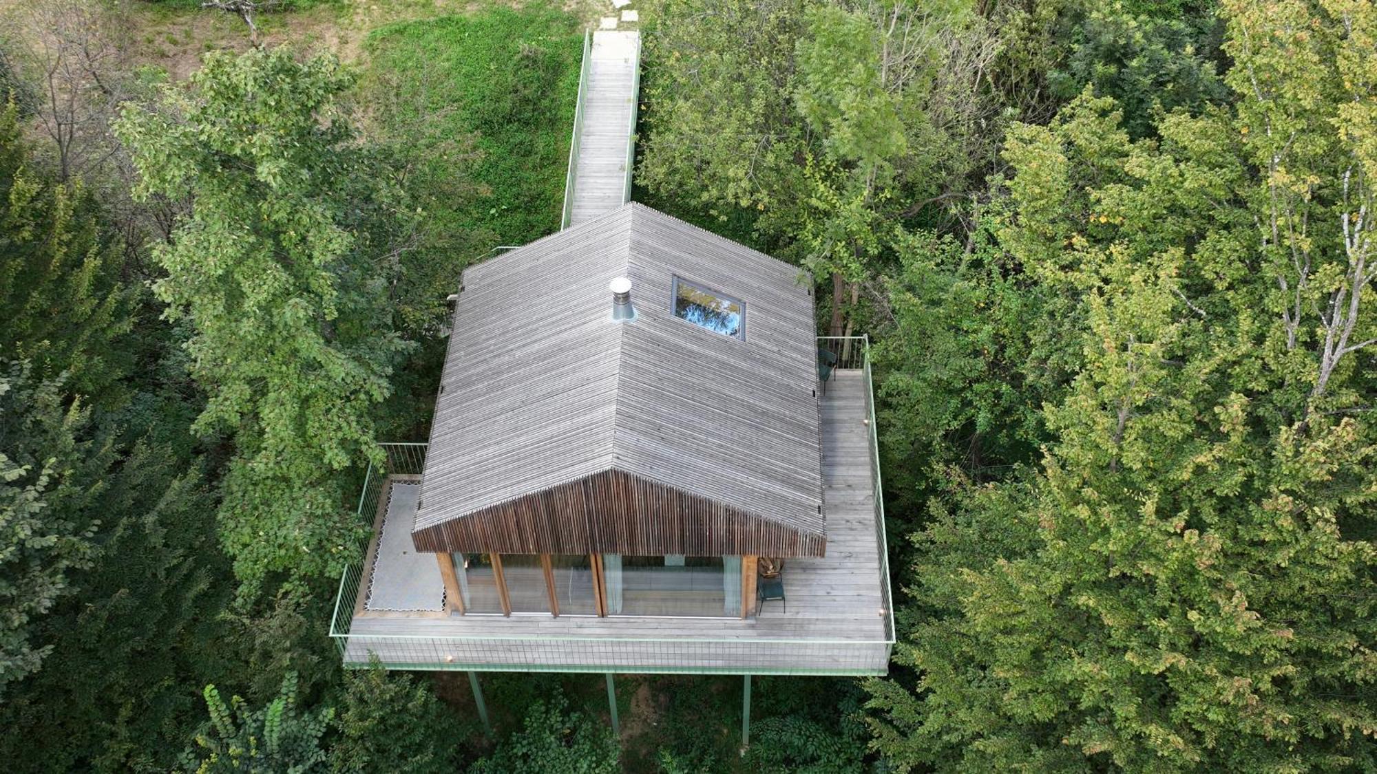 Appartamento Baumhaus Buchengruen Dobl-Zwaring Esterno foto