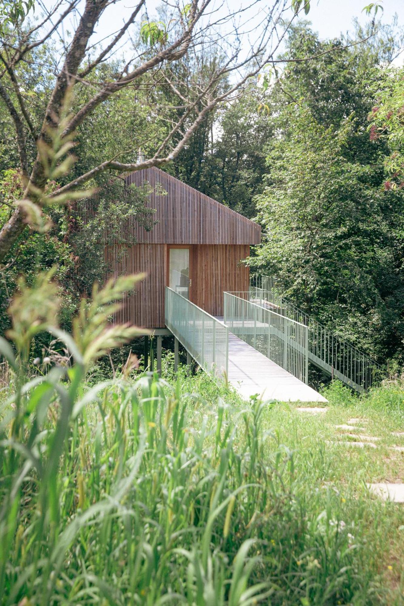 Appartamento Baumhaus Buchengruen Dobl-Zwaring Esterno foto